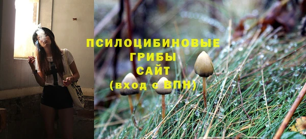 гидра Алзамай