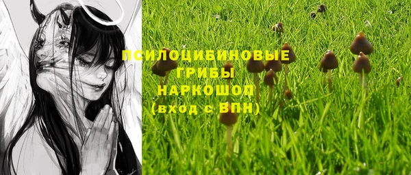 синтетический гашиш Алексеевка